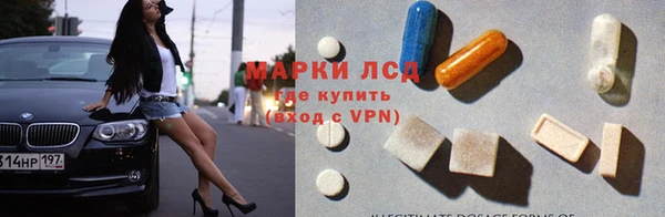 прущие крисы Сосновый Бор